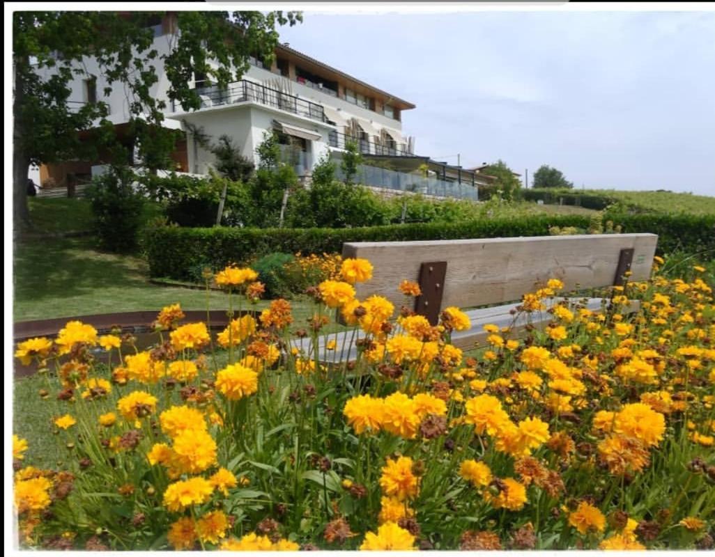 Hotel San Prudentzio Getaria Dış mekan fotoğraf